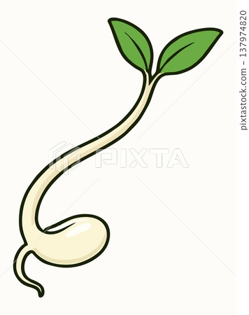 Fresh Bean Sprouts Cartoon Vector Illustration Fresh Bean Sprouts Cartoon Vector Illustration 137974820