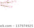 Watercolor cherry blossom background frame illustration 137974925
