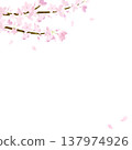Watercolor cherry blossom background frame illustration 137974926