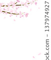 Watercolor cherry blossom background frame illustration 137974927