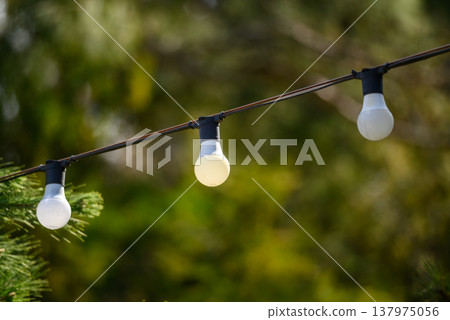 Outdoor string lights with bulbs and green bokeh background 137975056