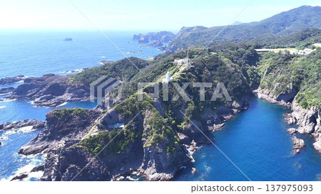 白色的岩石島嶼多加島和蔚藍的大海。一艘觀光船駛過(航拍,西伊豆)。 白色的岩石島嶼多加島和蔚藍的大海。一艘觀光船駛過(航拍,西伊豆)。 137975093