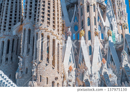 Sagrada Familia Detail Sagrada Familia Detail 137975130