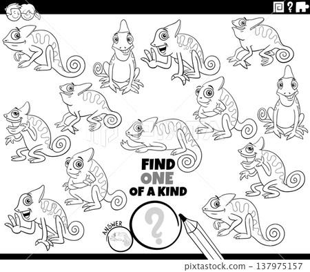 one of a kind puzzle activity with cartoon chameleons animals coloring page 137975157