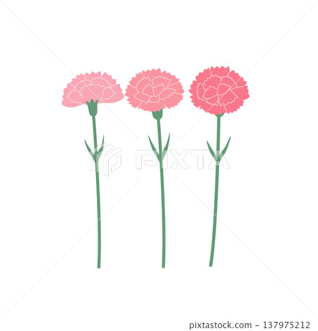Mother's Day materials: Carnation illustration, icon, simple and cute illustration Mother's Day materials: Carnation illustration, icon, simple and cute illustration 137975212