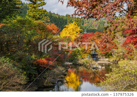 豐田市大平公園的紅葉景觀（愛知縣） 137975326