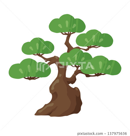 Cute pine tree illustration 137975636