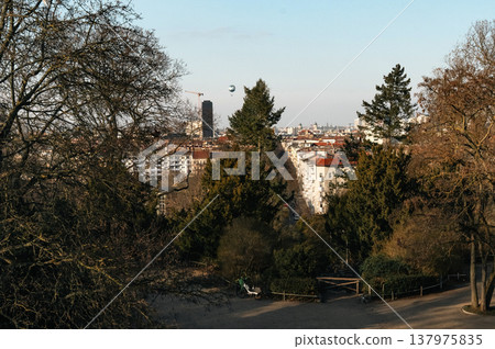 Elevated City View Framed by Trees in Warm Light Elevated City View Framed by Trees in Warm Light 137975835