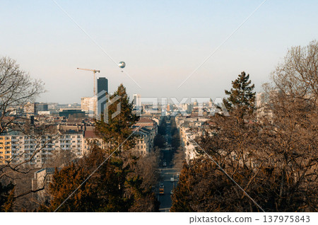 Elevated City View Framed by Trees and a Straight Avenue Elevated City View Framed by Trees and a Straight Avenue 137975843