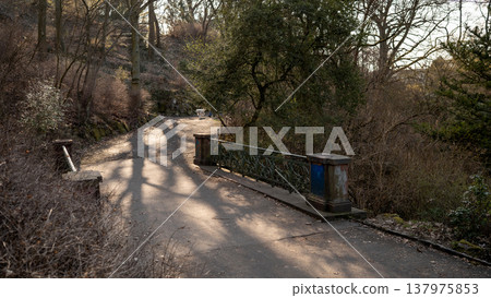 Sunlit Park Bridge on a Quiet Woodland Path 137975853