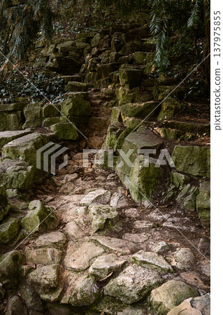 Rocky Dry Cascade in a Woodland Park Rocky Dry Cascade in a Woodland Park 137975855