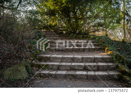 Stone Stairway in a Natural Park Setting Stone Stairway in a Natural Park Setting 137975872