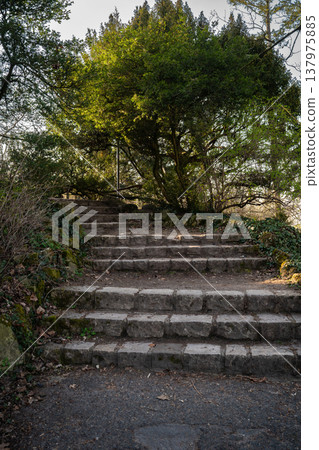 Stone Steps in a Quiet Woodland Park 137975885