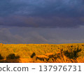 Thunderstorm over the forest. Autumn. Dramatic nature. 137976731