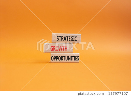 Strategic Growth Opportunities symbol. Concept word Strategic Growth Opportunities on wooden blocks. Beautiful orange background. Business and Strategic Growth Opportunities. Copy space Strategic Growth Opportunities symbol. Concept word Strategic Growth Opportunities on wooden blocks. Beautiful orange background. Business and Strategic Growth Opportunities. Copy space 137977107
