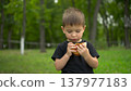 Little boy eats cheeseburger in park and looks at camera portrait shot 4k 137977183