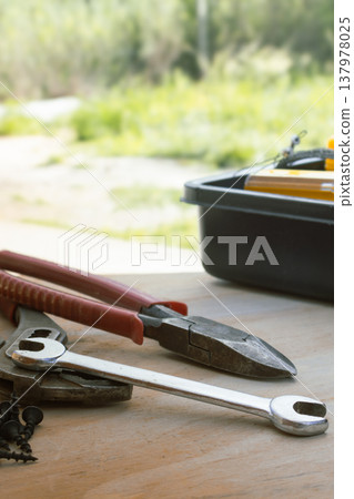 Assorted carpentry and repair tools. Including pliers. Wrench. And screws. Resting on wood texture Assorted carpentry and repair tools. Including pliers. Wrench. And screws. Resting on wood texture 137978025