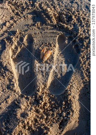 Footprints of a child's feet on sand beach. Holiday and summer concept. Footprints of a child's feet on sand beach. Holiday and summer concept. 137978043