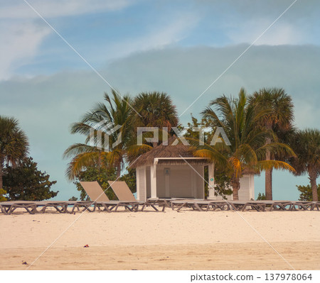 A sunny summer noon on a beach in the Bahamas. Blue sea ,sand and palm trees. Holiday concept A sunny summer noon on a beach in the Bahamas. Blue sea ,sand and palm trees. Holiday concept 137978064
