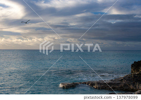 Bird soaring over the turquoise ocean at sunset, with dramatic clouds and a rocky coastline in the tranquil Caribbean, symbolizing freedom and travel 137978099