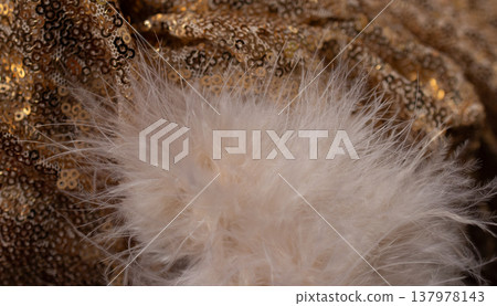 Golden fabric background with feathers for product background with luxury. Gold glitter and fabric texture .Close-up Golden fabric background with feathers for product background with luxury. Gold glitter and fabric texture .Close-up 137978143