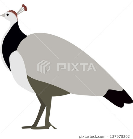 Peacock zoo bird vector icon 137978202