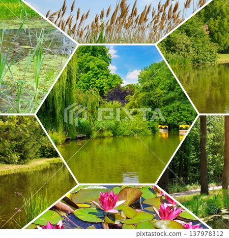 Beautiful environmental mosaic showcasing various aspects of a public park including blooming pink water lilies, tall grass reeds, and yellow pedal boats on a calm green river. Beautiful environmental mosaic showcasing various aspects of a public park including blooming pink water lilies, tall grass reeds, and yellow pedal boats on a calm green river. 137978312