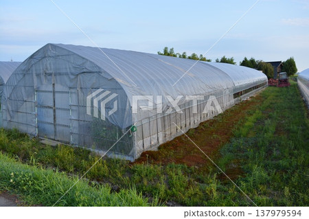 Agricultural plastic house Agricultural plastic house 137979594