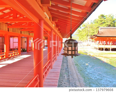 Itsukushima Shrine in the morning, Hiroshima Itsukushima Shrine in the morning, Hiroshima 137979608