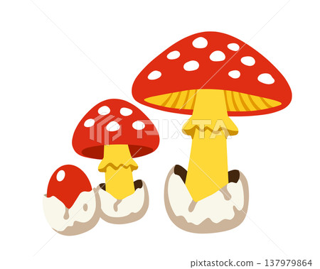 鵝Hemibapha 鵝Hemibapha 137979864