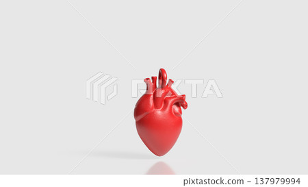 Realistic Red Human Heart Anatomy Medical 3D Model Realistic Red Human Heart Anatomy Medical 3D Model 137979994