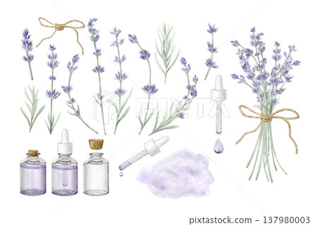 Watercolor lavender essential oil set. Hand drawn botanical collection with flowers, glass bottles, pipette and lavender bouquet for organic cosmetics, aromatherapy and spa wellness design. Watercolor lavender essential oil set. Hand drawn botanical collection with flowers, glass bottles, pipette and lavender bouquet for organic cosmetics, aromatherapy and spa wellness design. 137980003
