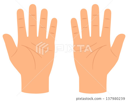 palm palm 137980239