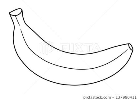Various Fruit Line Drawings 137980411