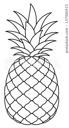 Various Fruit Line Drawings 137980415