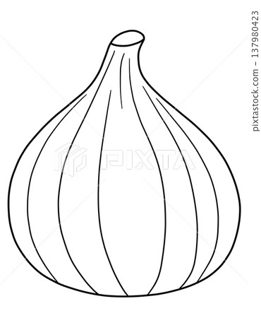 Various Fruit Line Drawings Various Fruit Line Drawings 137980423