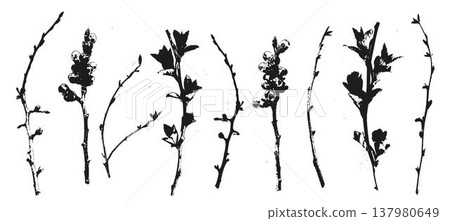 Set of black silhouettes of spring twigs and branches with buds and berries, traced from real plants. Textured grunge ink style. Isolated on white. Ideal for botanical design. Set of black silhouettes of spring twigs and branches with buds and berries, traced from real plants. Textured grunge ink style. Isolated on white. Ideal for botanical design. 137980649