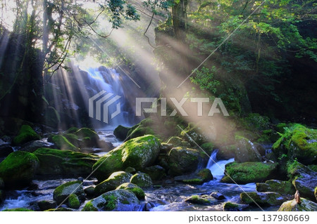 Meoto Taki waterfalls, where beautiful rays of light shine (Minamioguni Town, Kumamoto Prefecture) Meoto Taki waterfalls, where beautiful rays of light shine (Minamioguni Town, Kumamoto Prefecture) 137980669