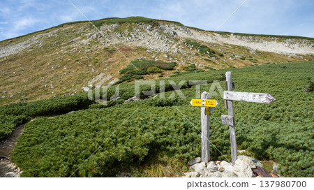 【北阿爾卑斯山】從雙六小屋到雙六岳的分岐點 【北阿爾卑斯山】從雙六小屋到雙六岳的分岐點 137980700