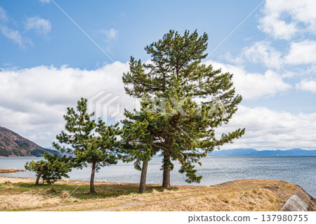 Lake Biwa shoreline scenery, Makino-cho, Nagahama City, Shiga Prefecture 137980755