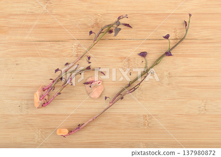 Sweet potato cuttings and sprouts for propagation on a wooden substrate. 137980872