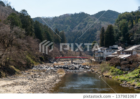 A landscape with the Taigetsu Bridge in Asuke A landscape with the Taigetsu Bridge in Asuke 137981067