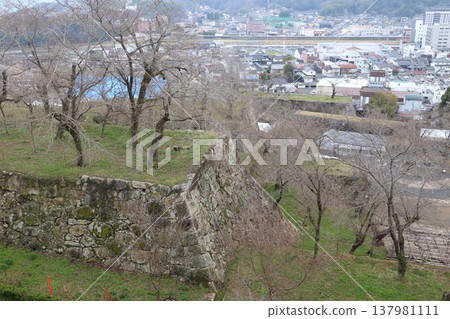 從岡山津山城眺望 137981111
