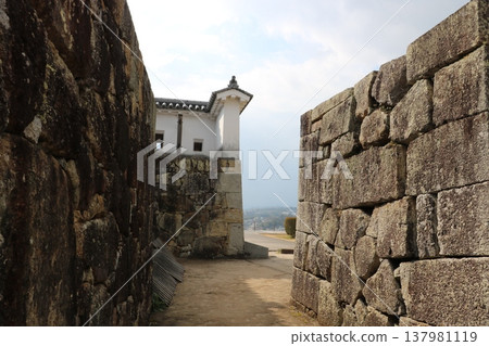 Okayama, Tsuyama Castle Okayama, Tsuyama Castle 137981119