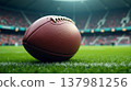 Leather football lying on bright turf. 137981256