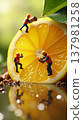 Tiny workers in helmets extracting vitamins from citrus. 137981258