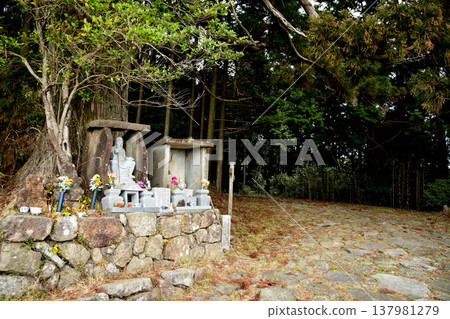 Twisted Cedar Tree (Statue of En no Gyoja) [Tanabe City, Wakayama Prefecture] 137981279