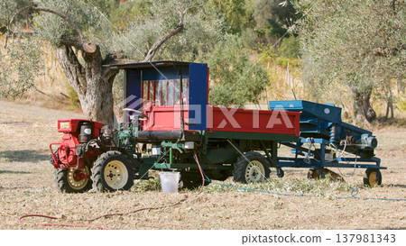 Defoliator with tractor for olive harvesting in Calabria 137981343
