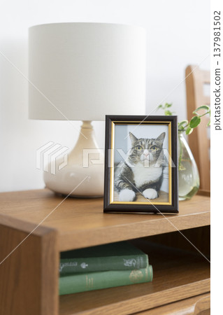 房間裡放著一張貓的照片。 137981502