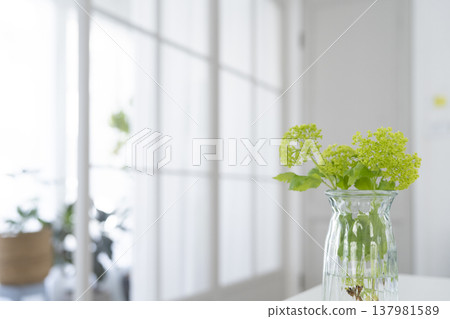 Vase placed on the table Life with flowers 137981589